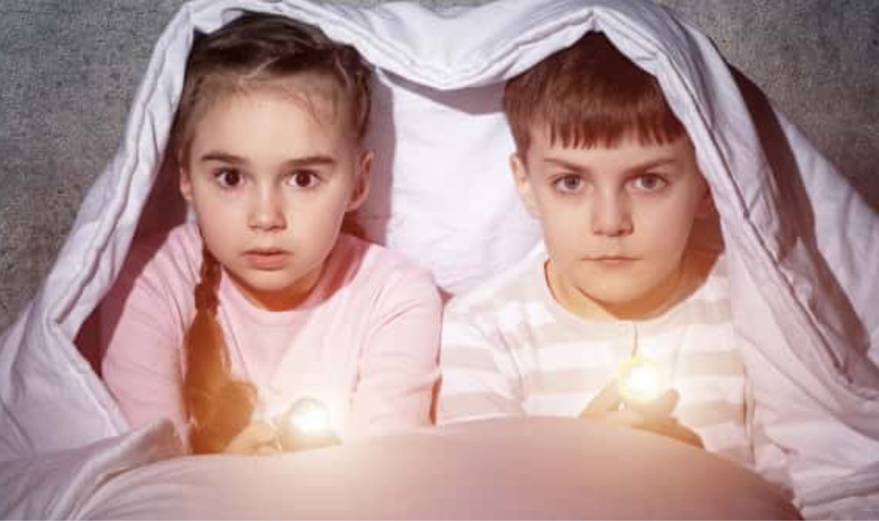 Scared Children With Flashlights Lying In Bed., Shutterstock, 1442035028