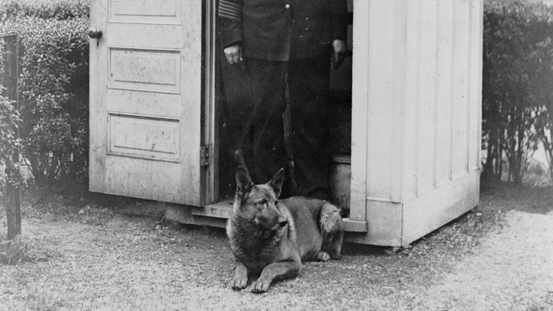 File:King Tut Presidential Police Dog Sentry Box 1929.jpg