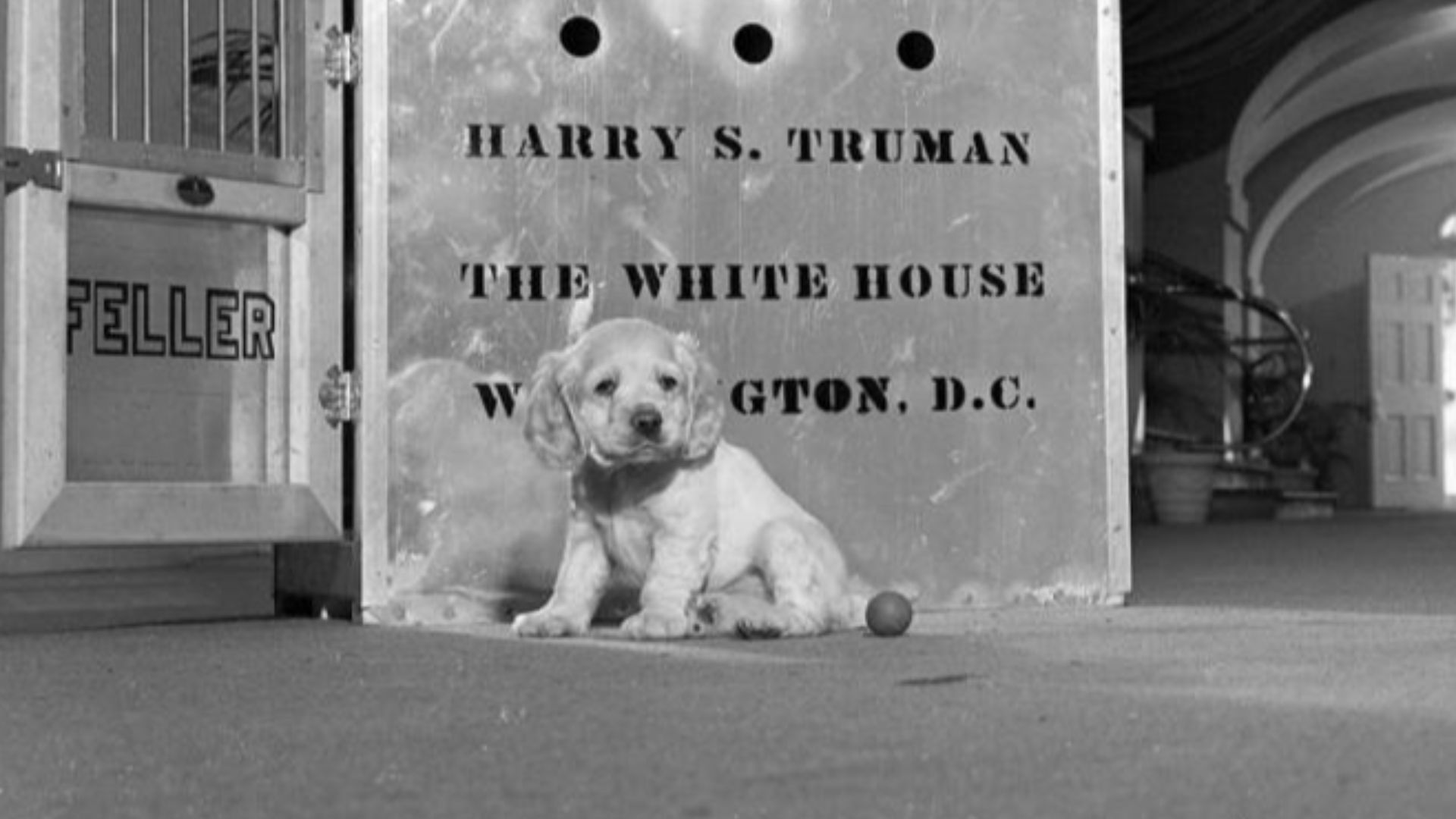 File:President-harry-truman-dog-feller.jpg