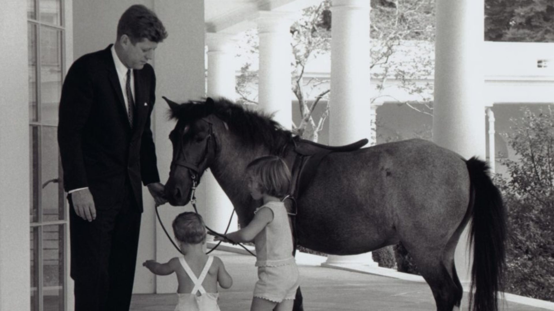 File:Macaroni (pony).jpg