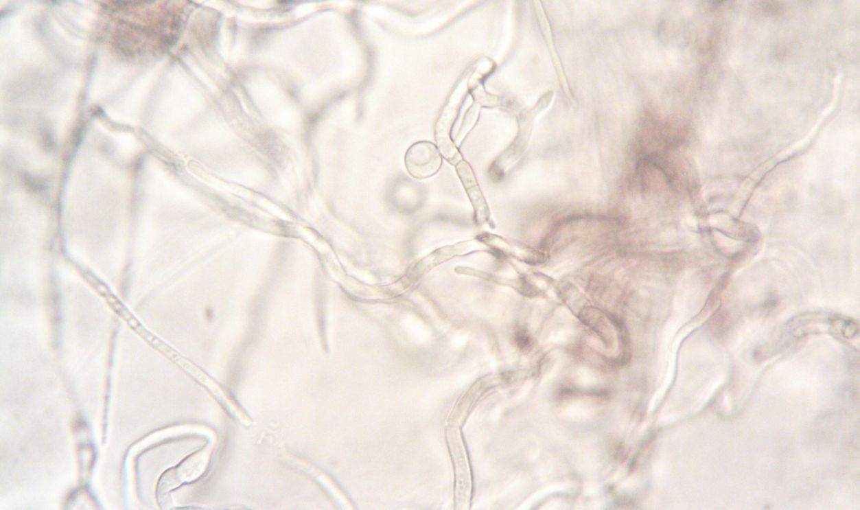 The Numbers Behind A Staggering Calculation