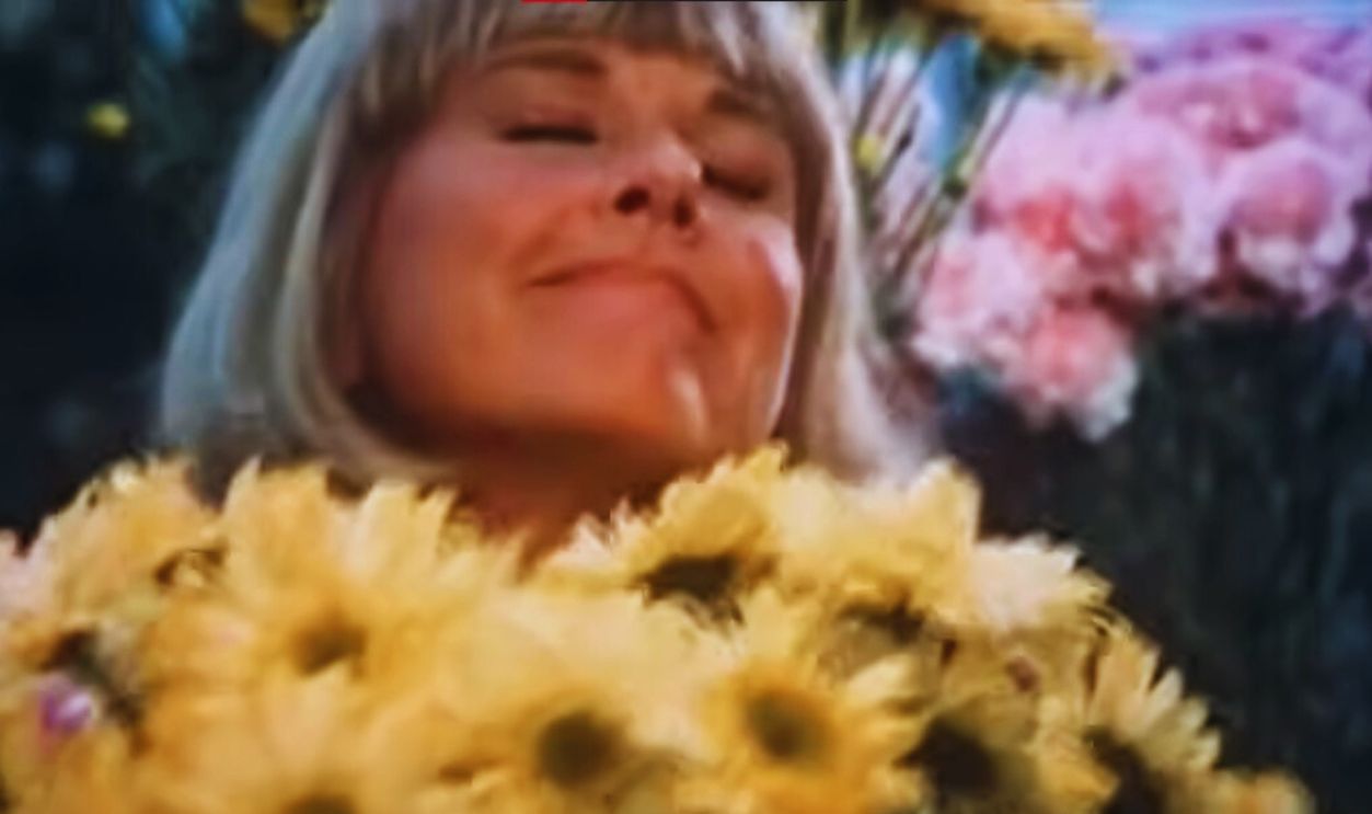 Screenshot from The Doris Day Show (1968)