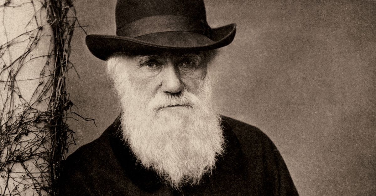 Charles Darwin Standing