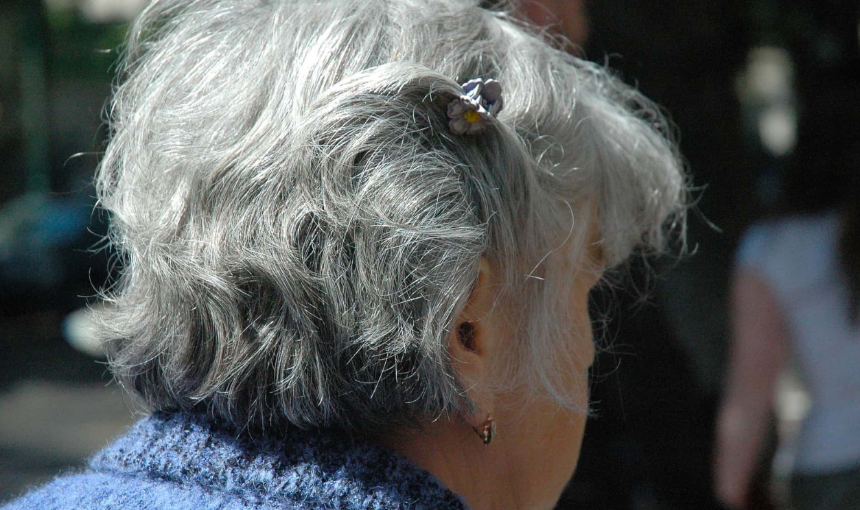 Woman Senior Citizens Female Head