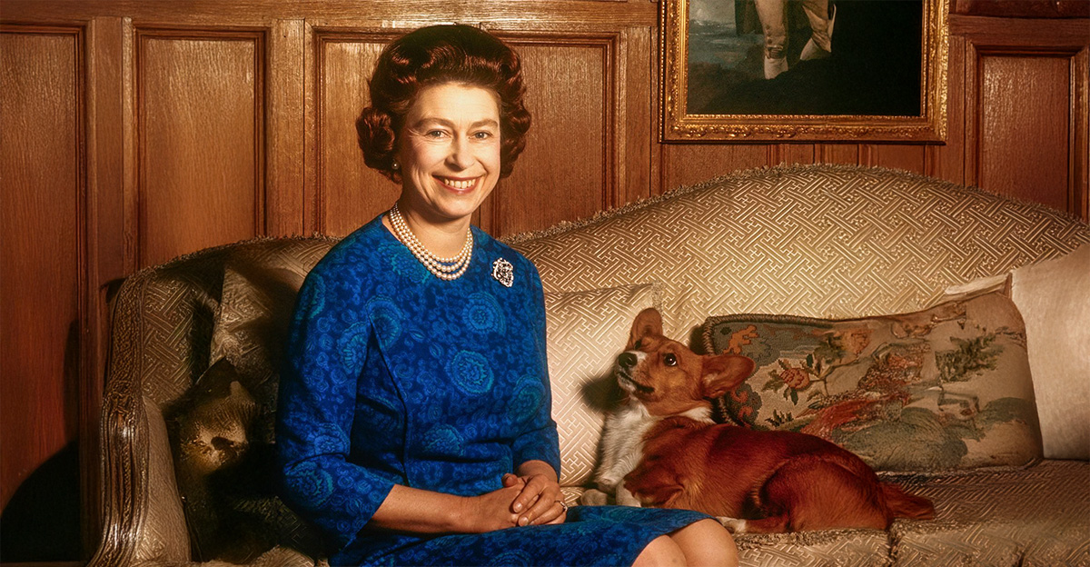 Rss Thumb - World Famous Government Pets