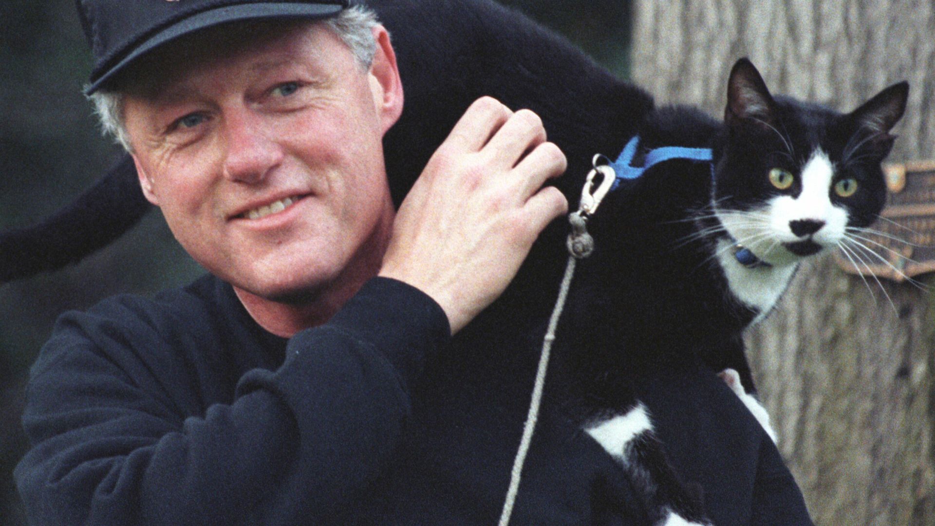 File:Photograph of President William Jefferson Clinton with Socks the Cat Perched on Clinton's Shoulder- 12-20-1993 (6461509201).jpg