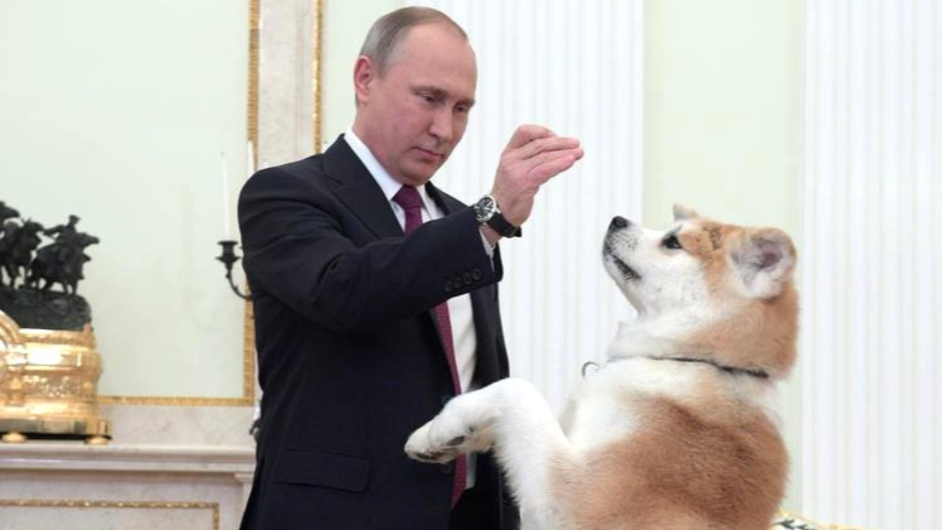 File:Vladimir Putin and Yume (2016-12-13) 01.jpg