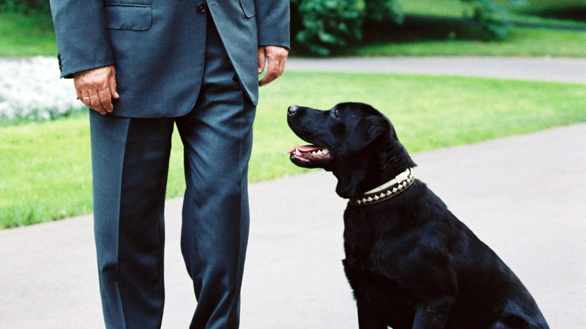 File:Vladimir Putin and Koni-1.jpg