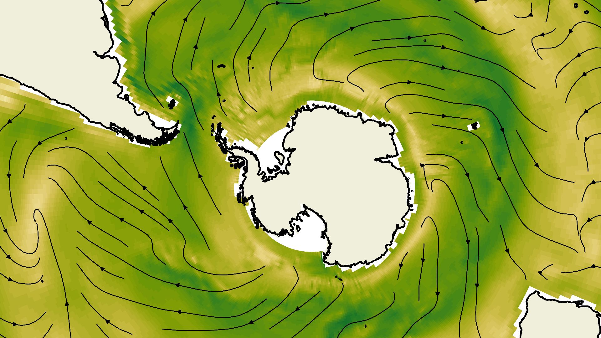 File:Flow from the Antarctic Circumpolar Current to the other ocean basins.jpg