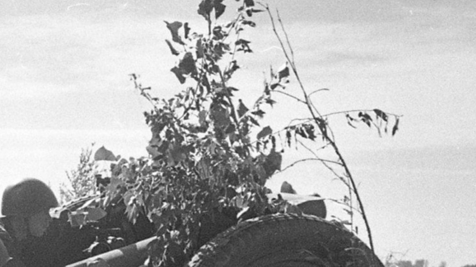 File:Расчет советской 76-мм полковой пушки ведет огонь по противнику на Дону.jpg