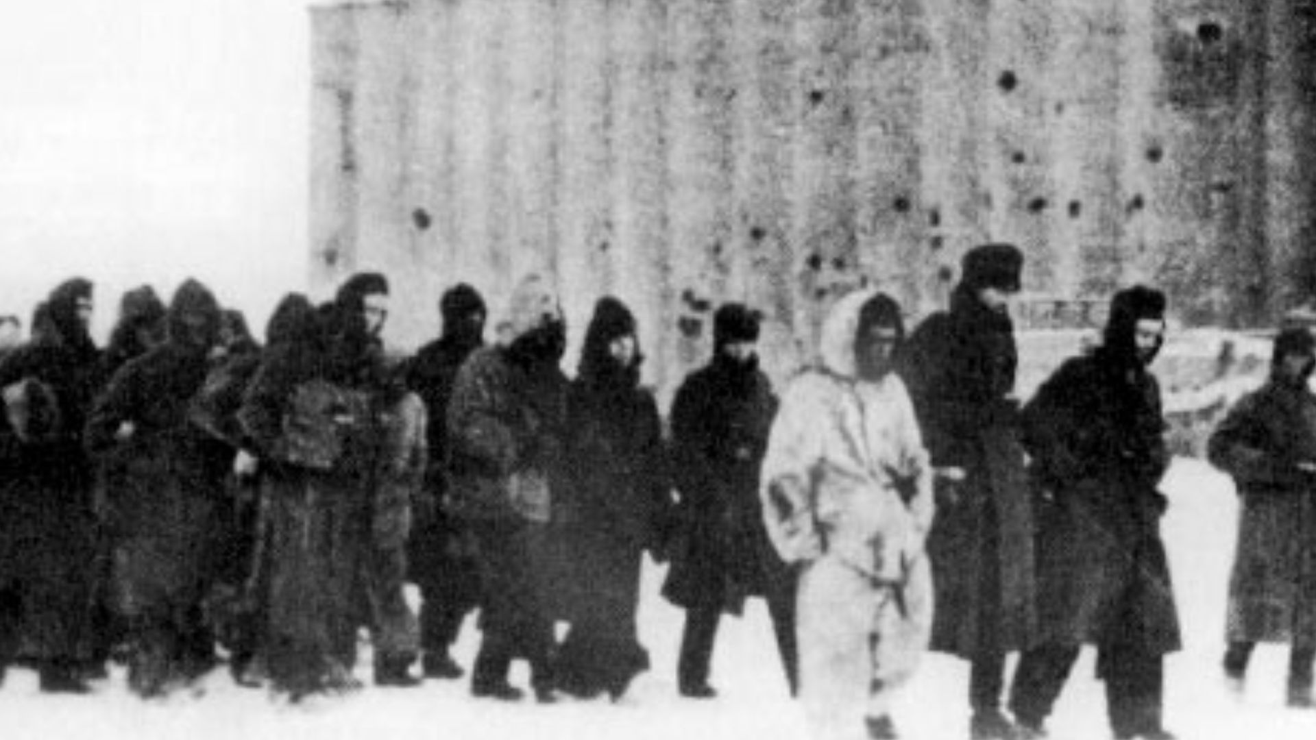 File:German pows stalingrad 1943.jpg