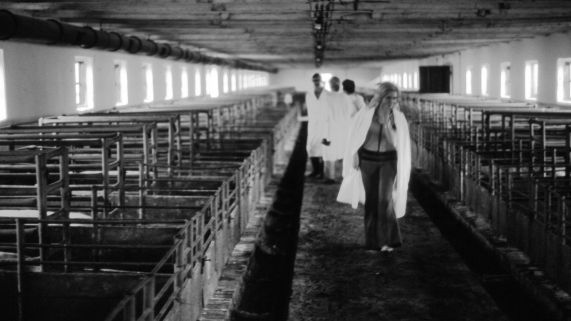 File:Hammond Slides Volgograd 15.jpg