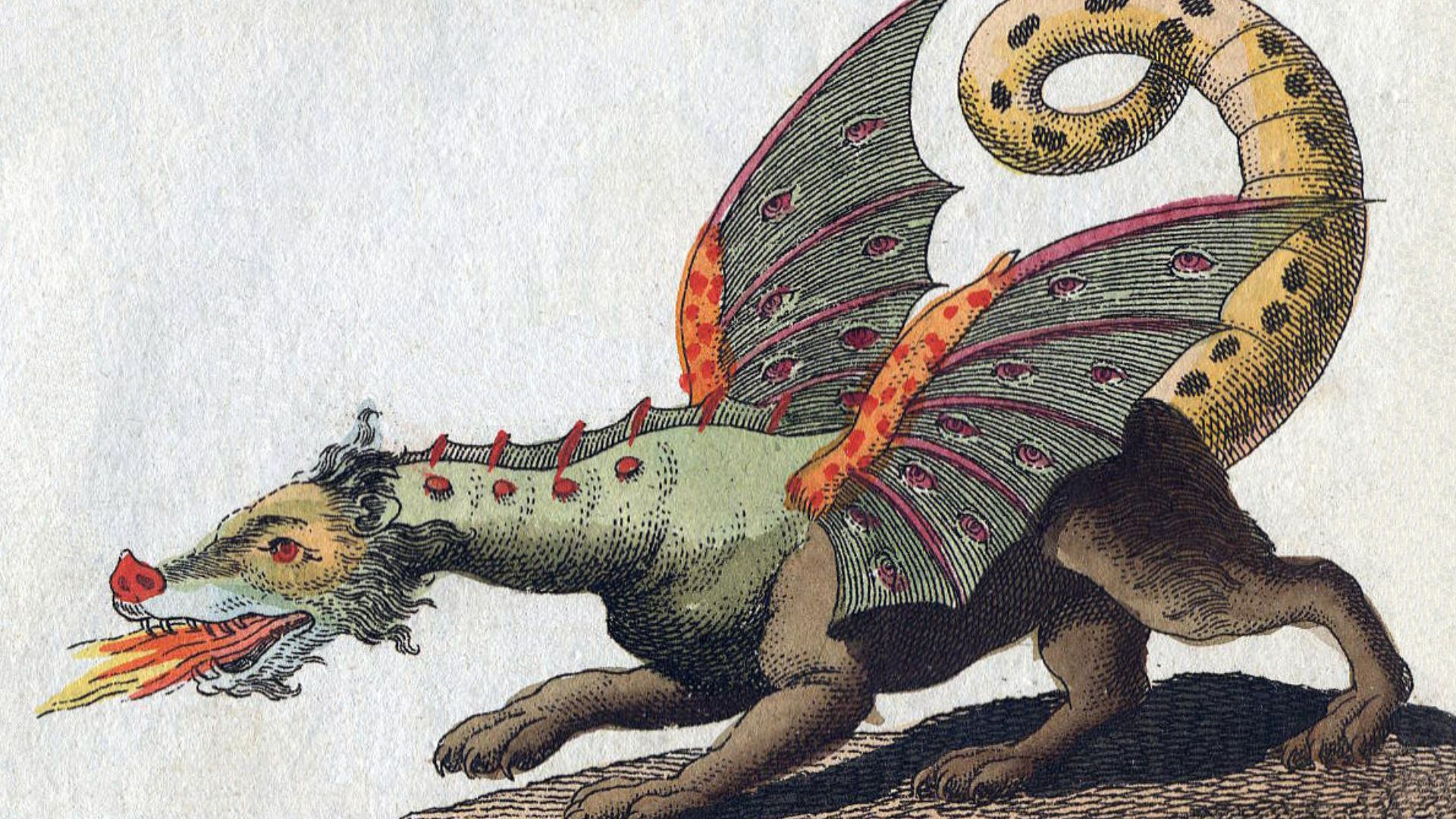 File:Friedrich-Johann-Justin-Bertuch Mythical-Creature-Dragon 1806.jpg