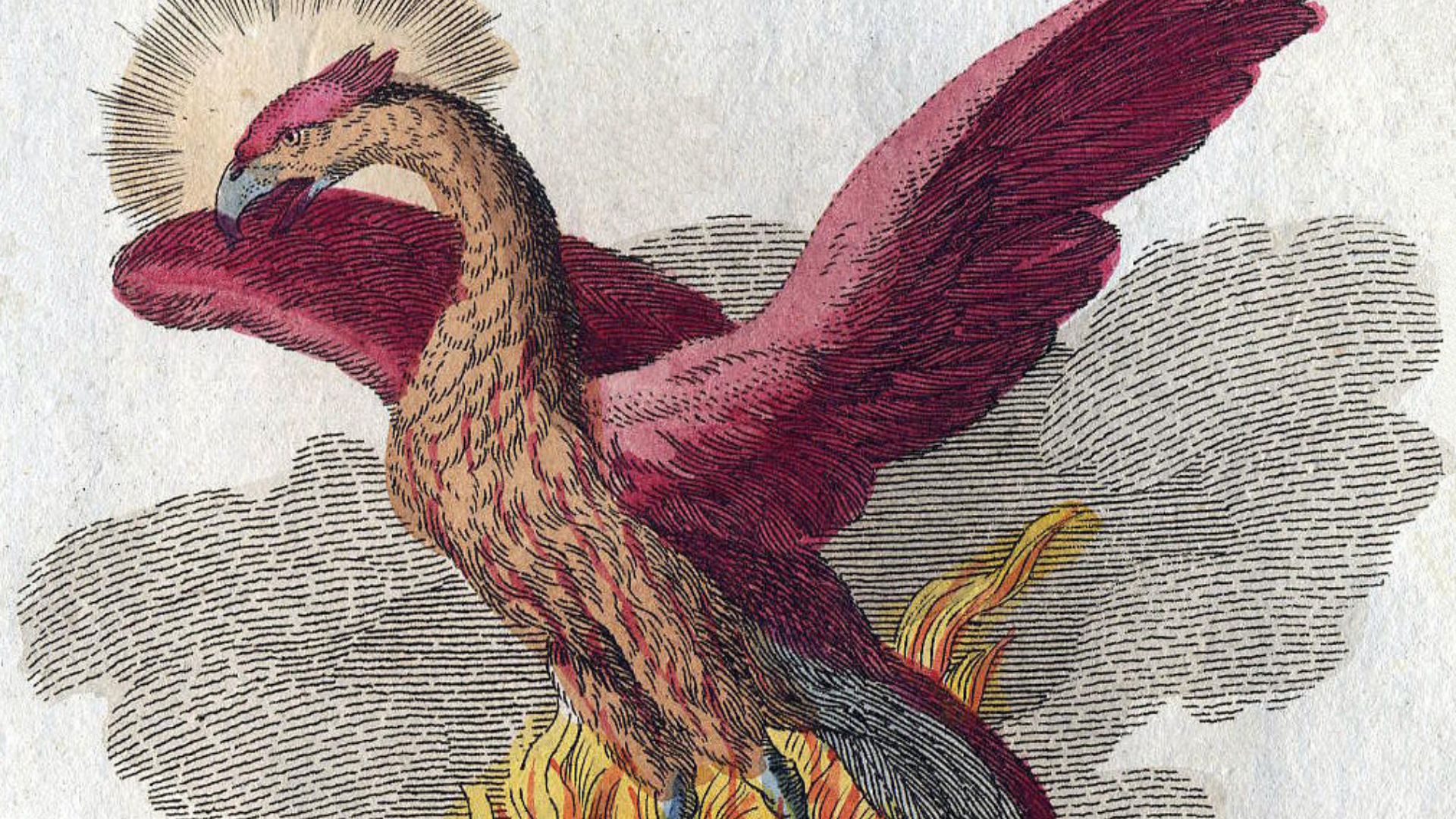 File:Phoenix-Fabelwesen.jpg