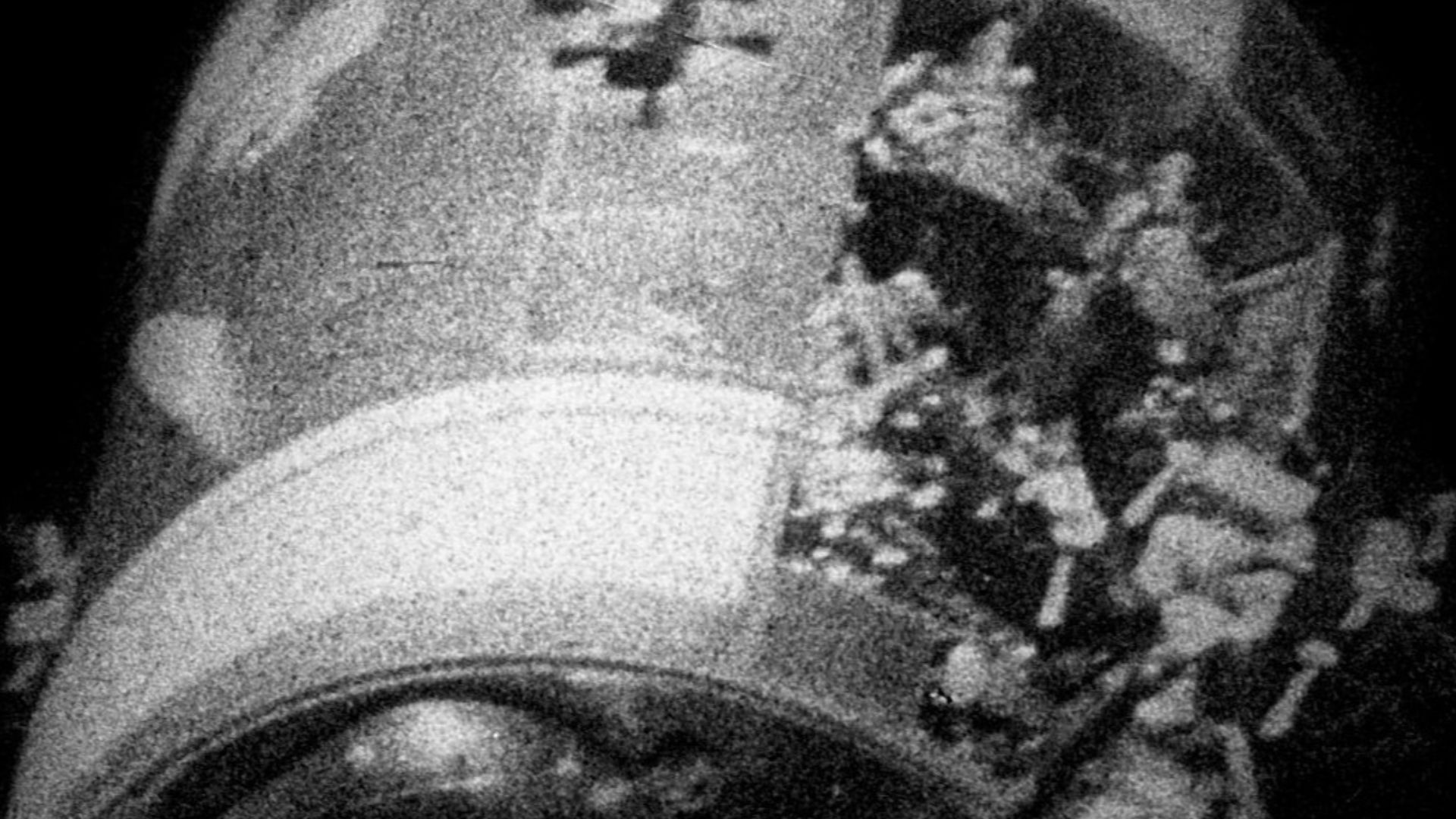 File:Apollo 13 Service Module (lossless crop).jpg