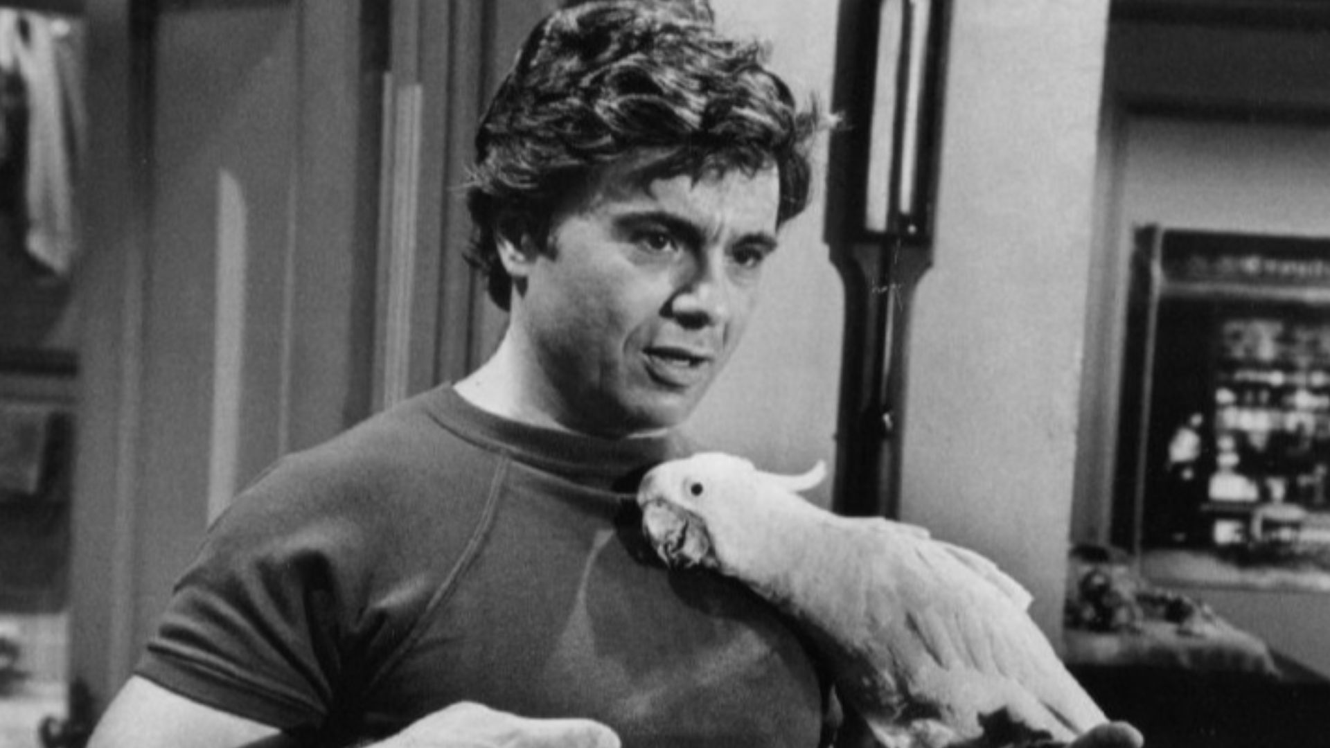 File:Robert Blake Baretta and Fred 1976.JPG