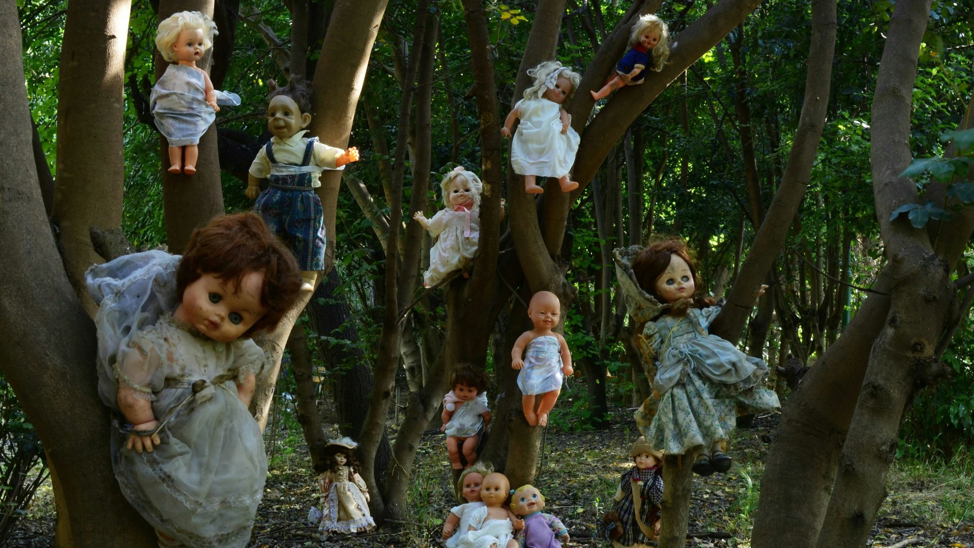 dolls on ground and tree during daytime