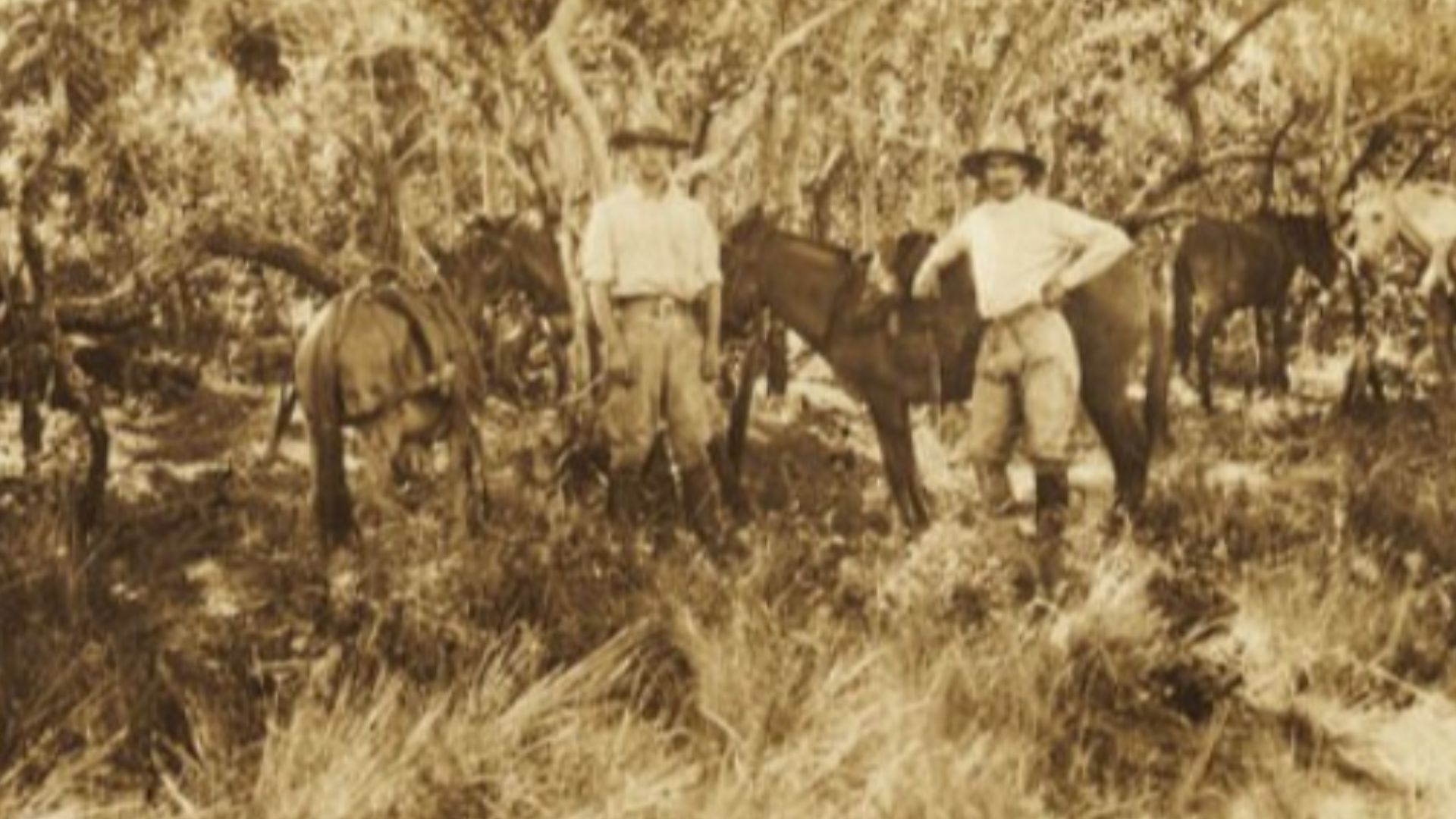 File:Jack Fawcett and Raleigh Rimell（1925）.jpg