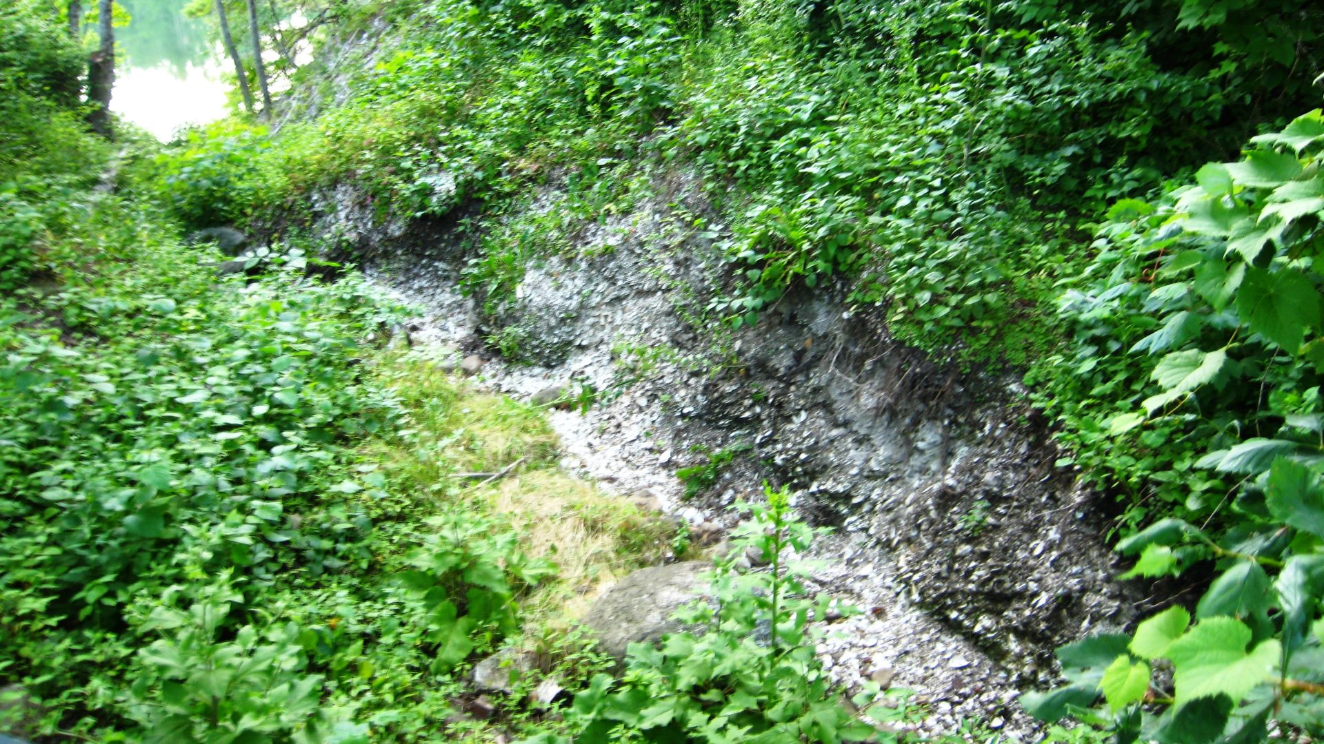 File:Whaleback Shell Midden gully - 20070722 07986.JPG