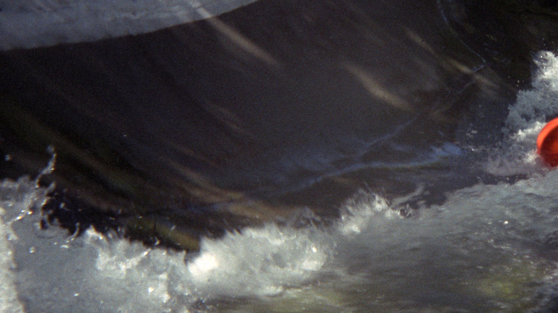 File:Action Park (2723189744).jpg