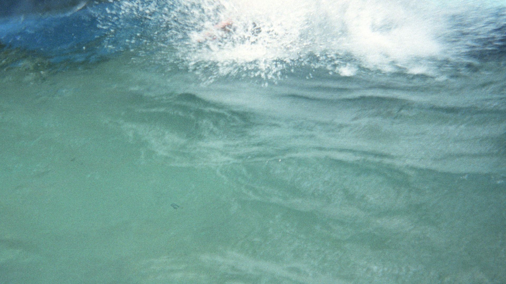 File:Action Park (3000196846).jpg