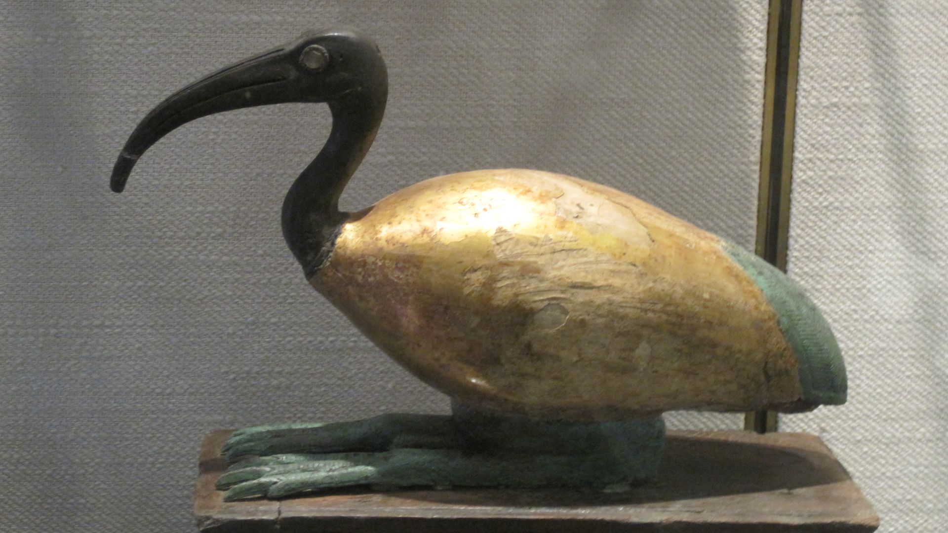 File:Ibis of the God Thoth.jpg