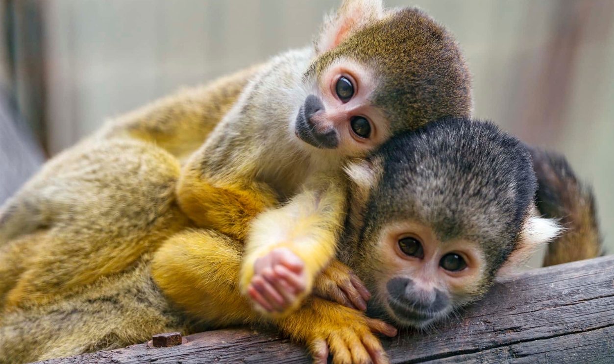 16009831076 Ab19Ad03Fd K (2)