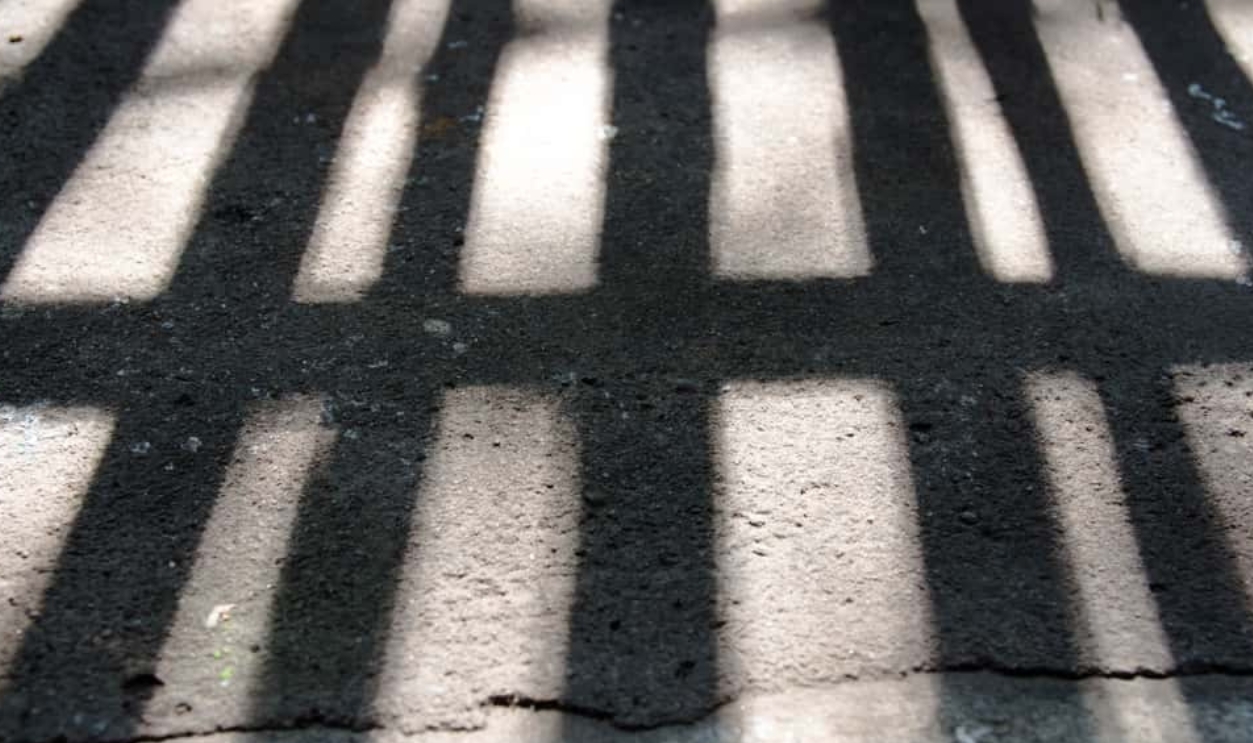 Shutterstock 1122695774 (2)