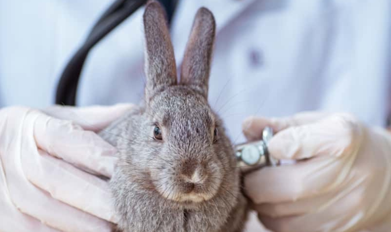 Shutterstock 1149686150 (2)