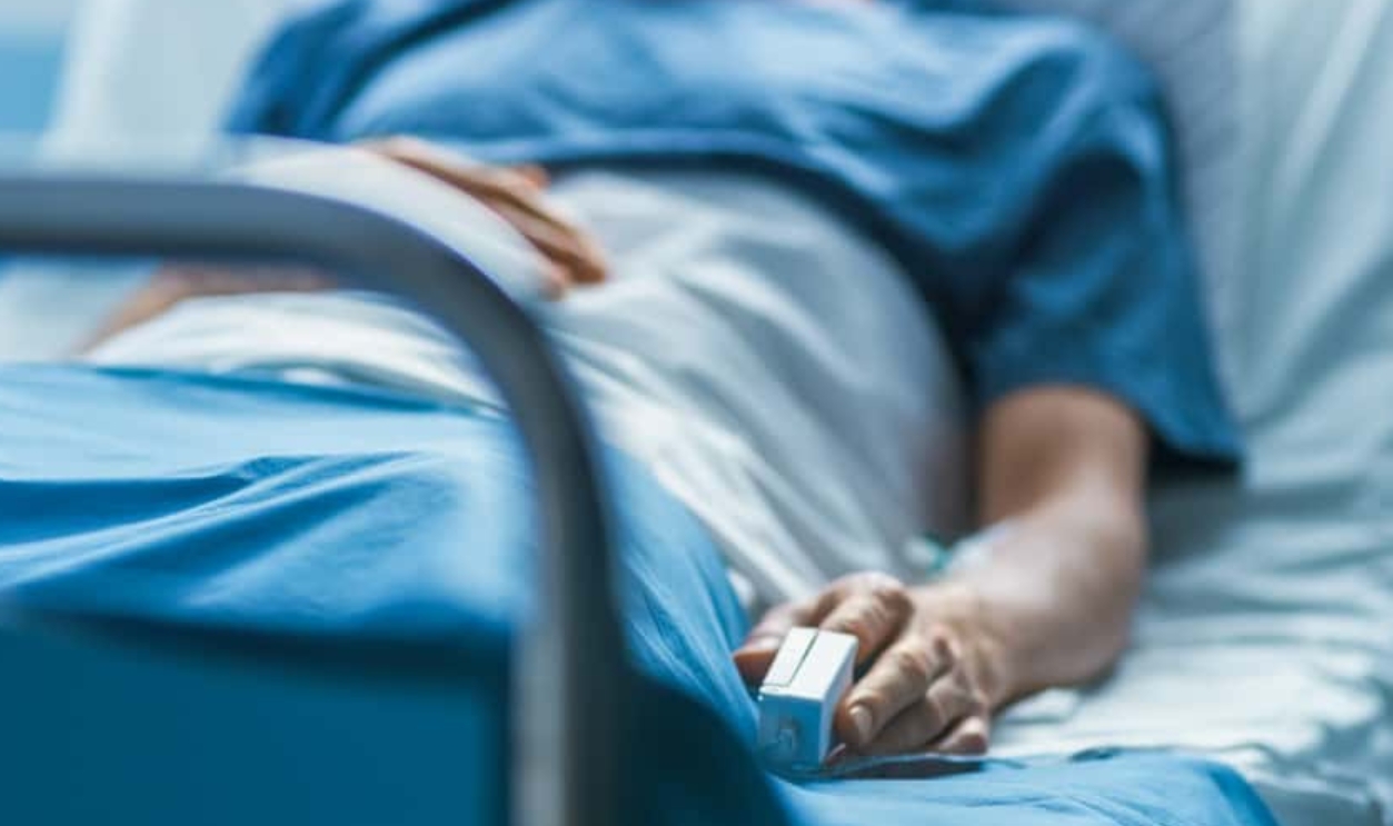 Shutterstock 1190997985 (2)