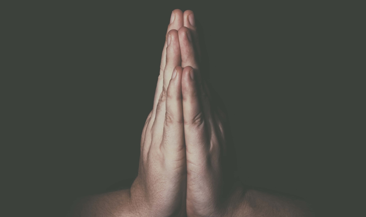 Shutterstock 694721314 (2)