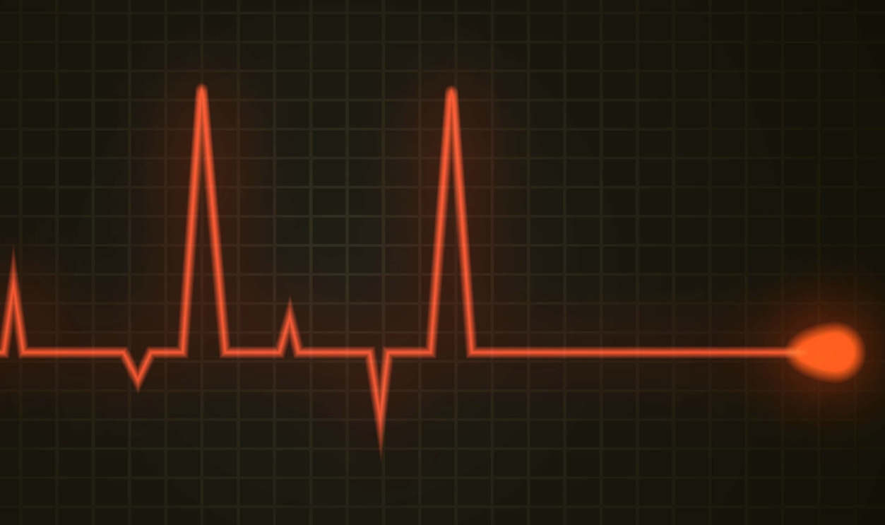 Shutterstock 706340404 (3)