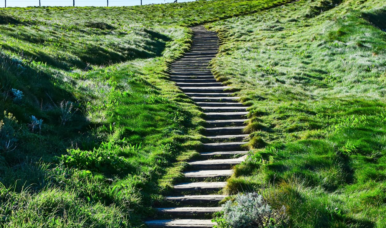 Staircase Built On A Steep Embankment