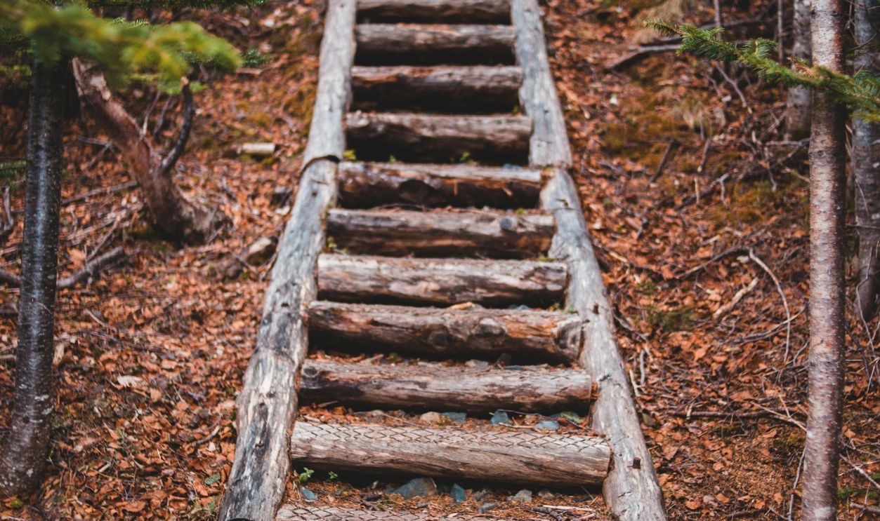 Rustic Outdoor Log Stairs