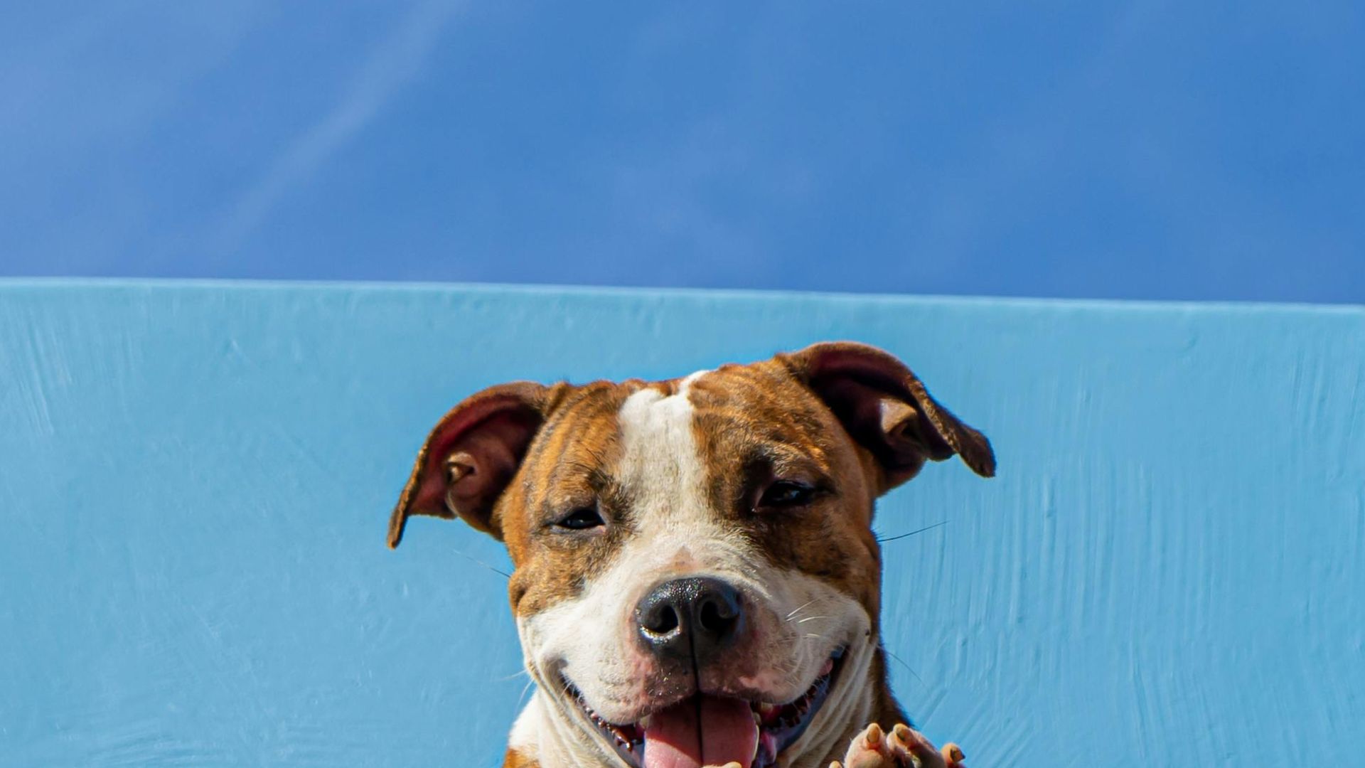 Lucia Barreiros Silva