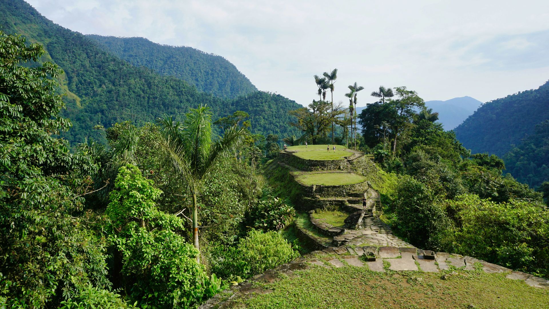green trees on mountain during daytime