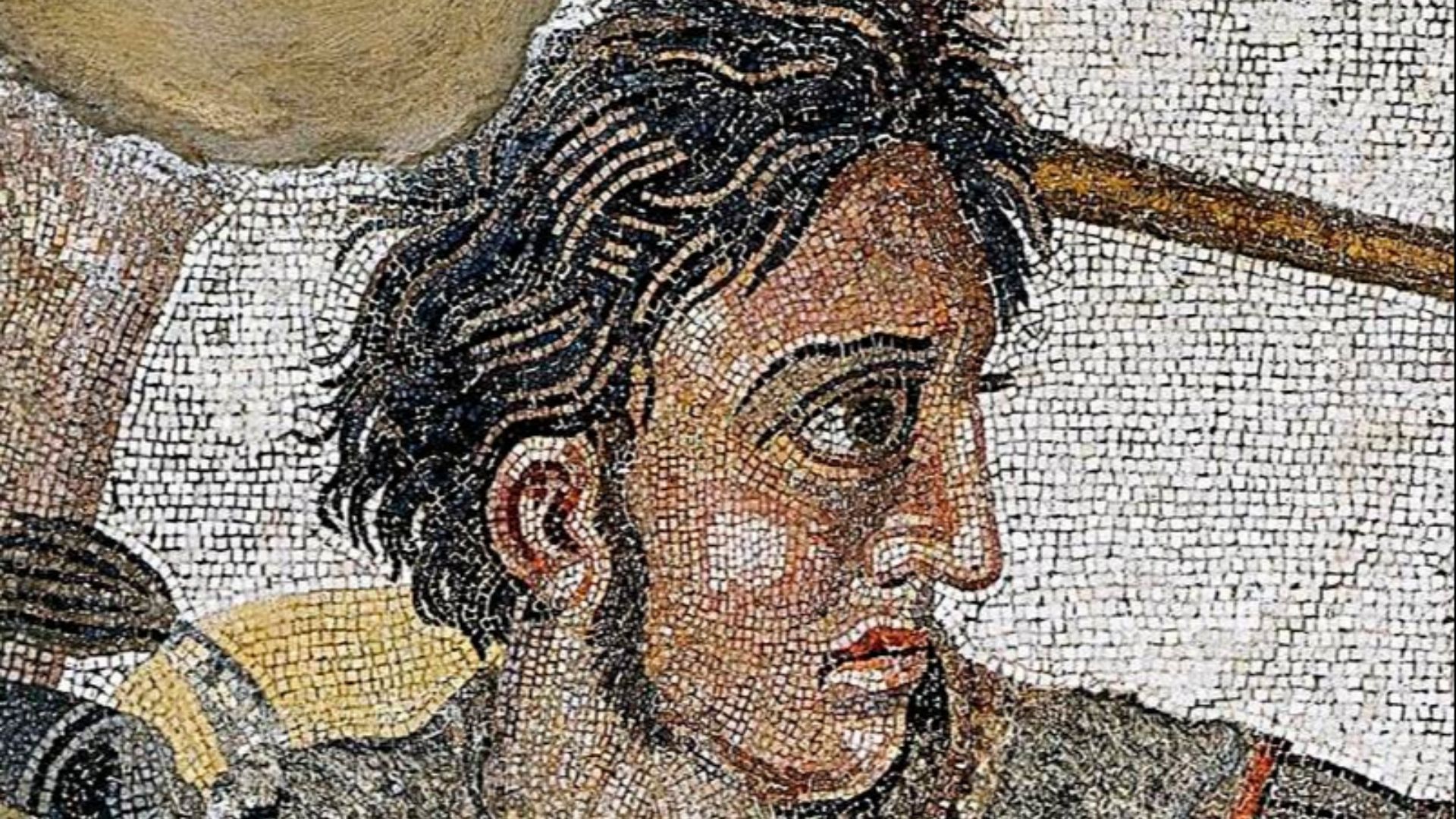 File:Alexander the Great mosaic (cropped).jpg