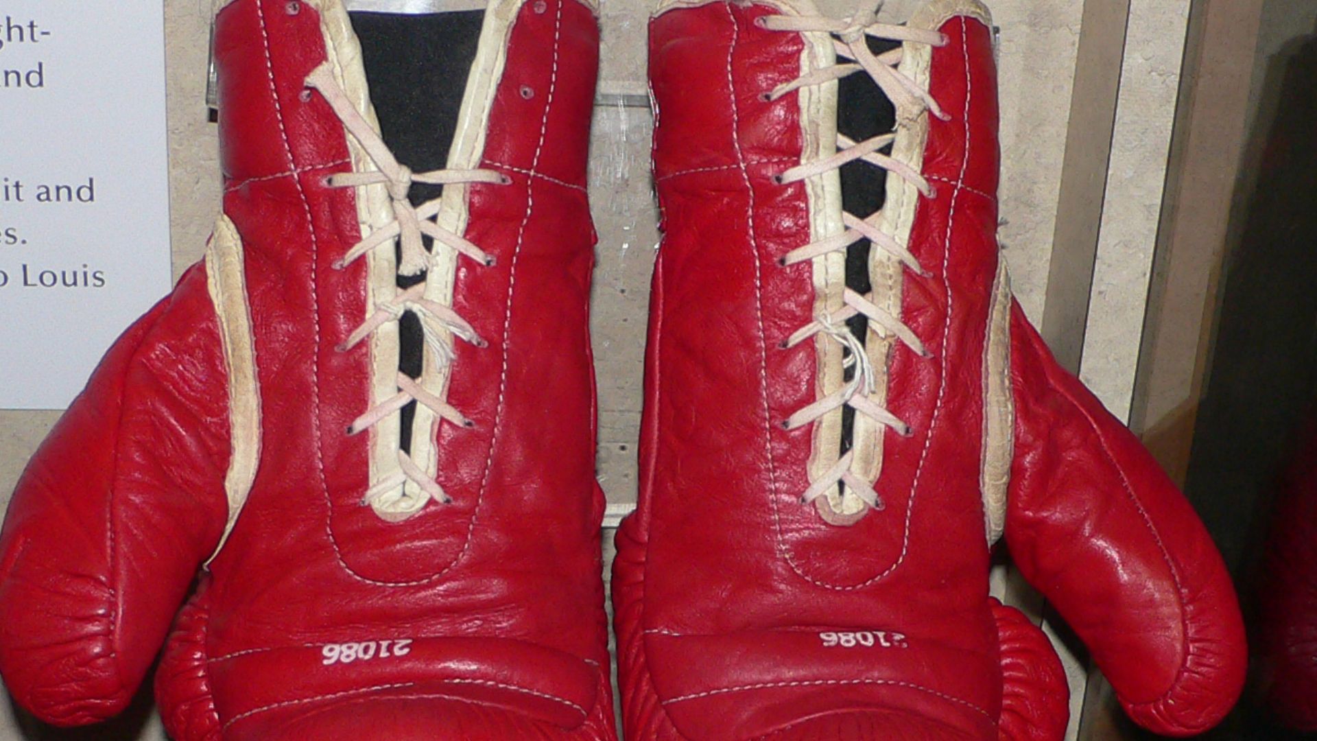 File:Muhammad Ali's boxing gloves.jpg