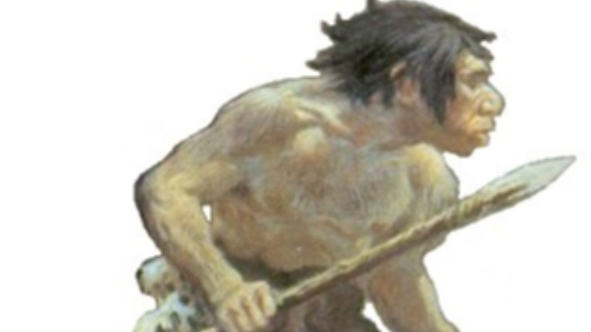 File:Le Moustier (white background).jpg