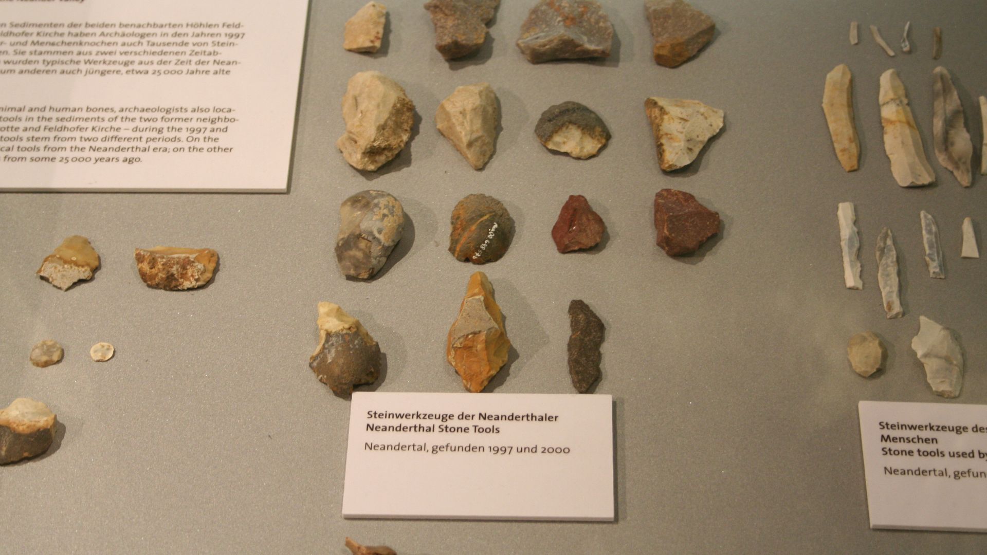 File:Neanderthal Museum 07.jpg
