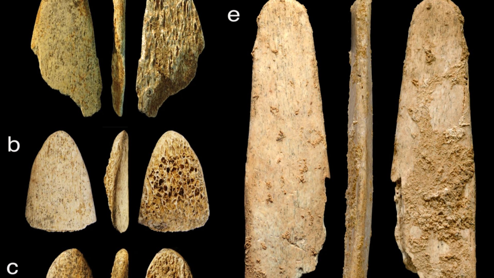 File:Bone tools used by Neanderthals.webp