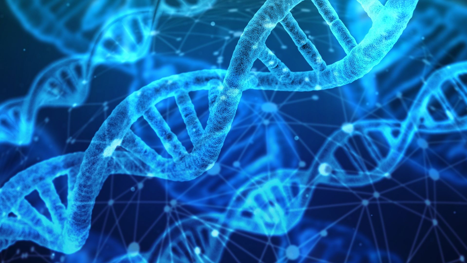 File:DNA strands.jpg