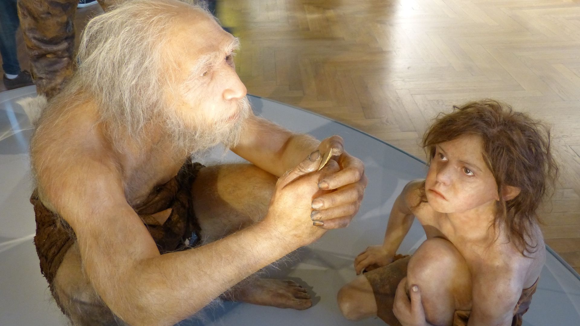 File:NHM - Neandertaler Modell 1.jpg