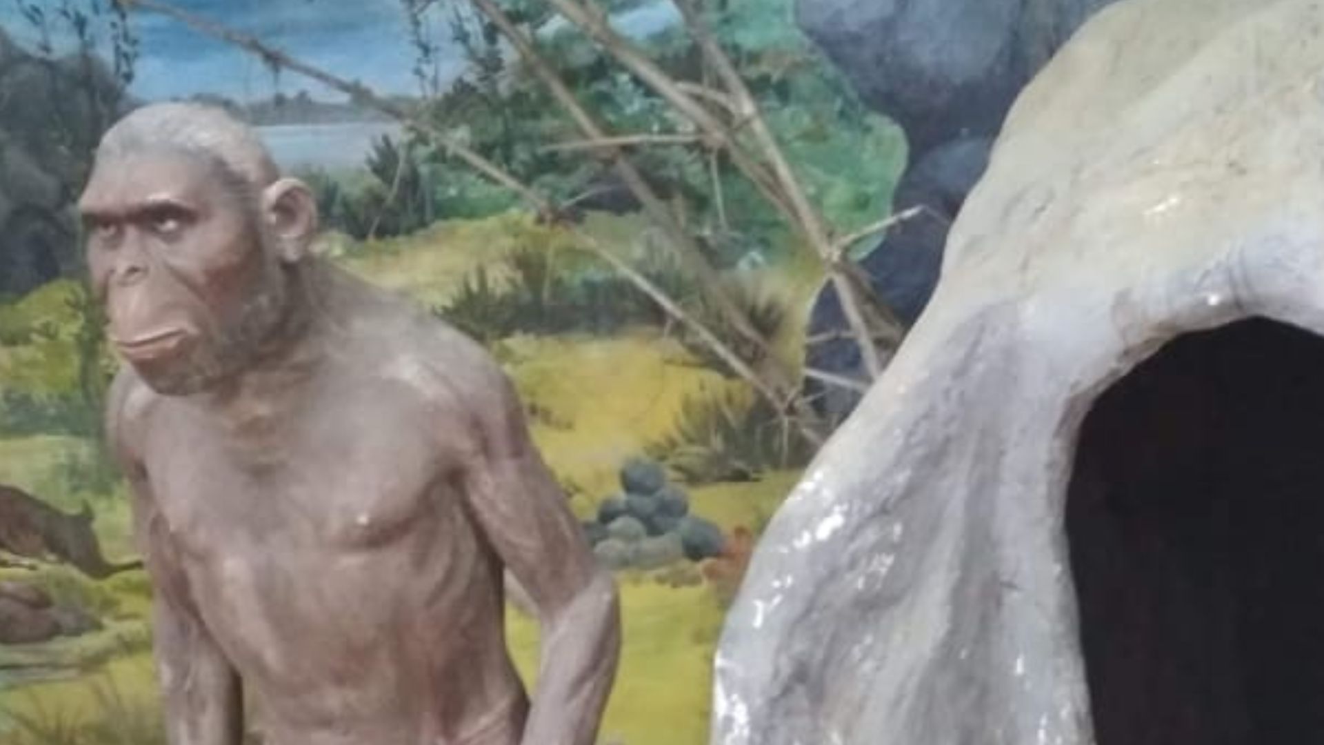 File:Homo sapiens2020.jpg