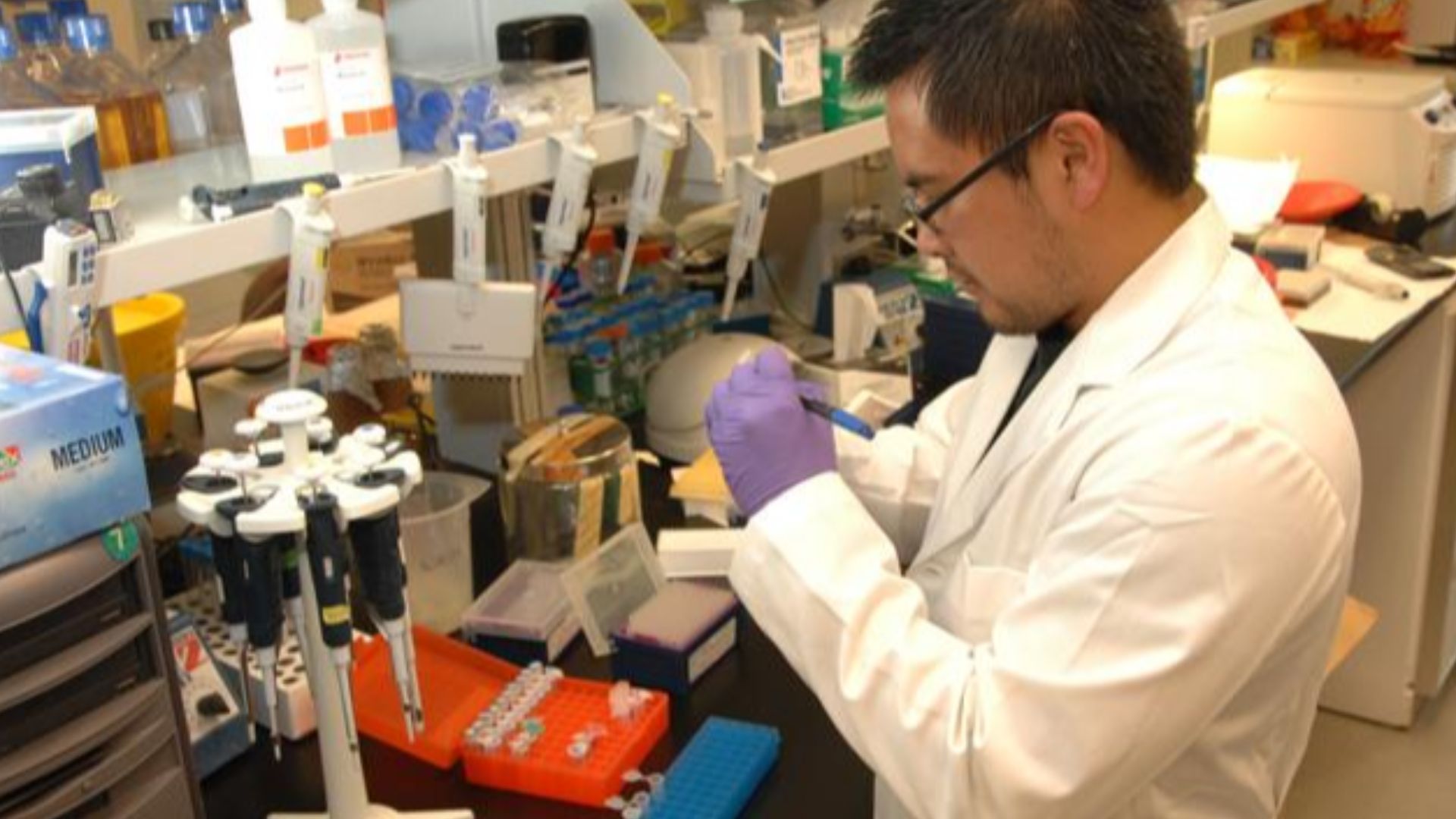 File:Medical Laboratory Scientist US NIH.jpg