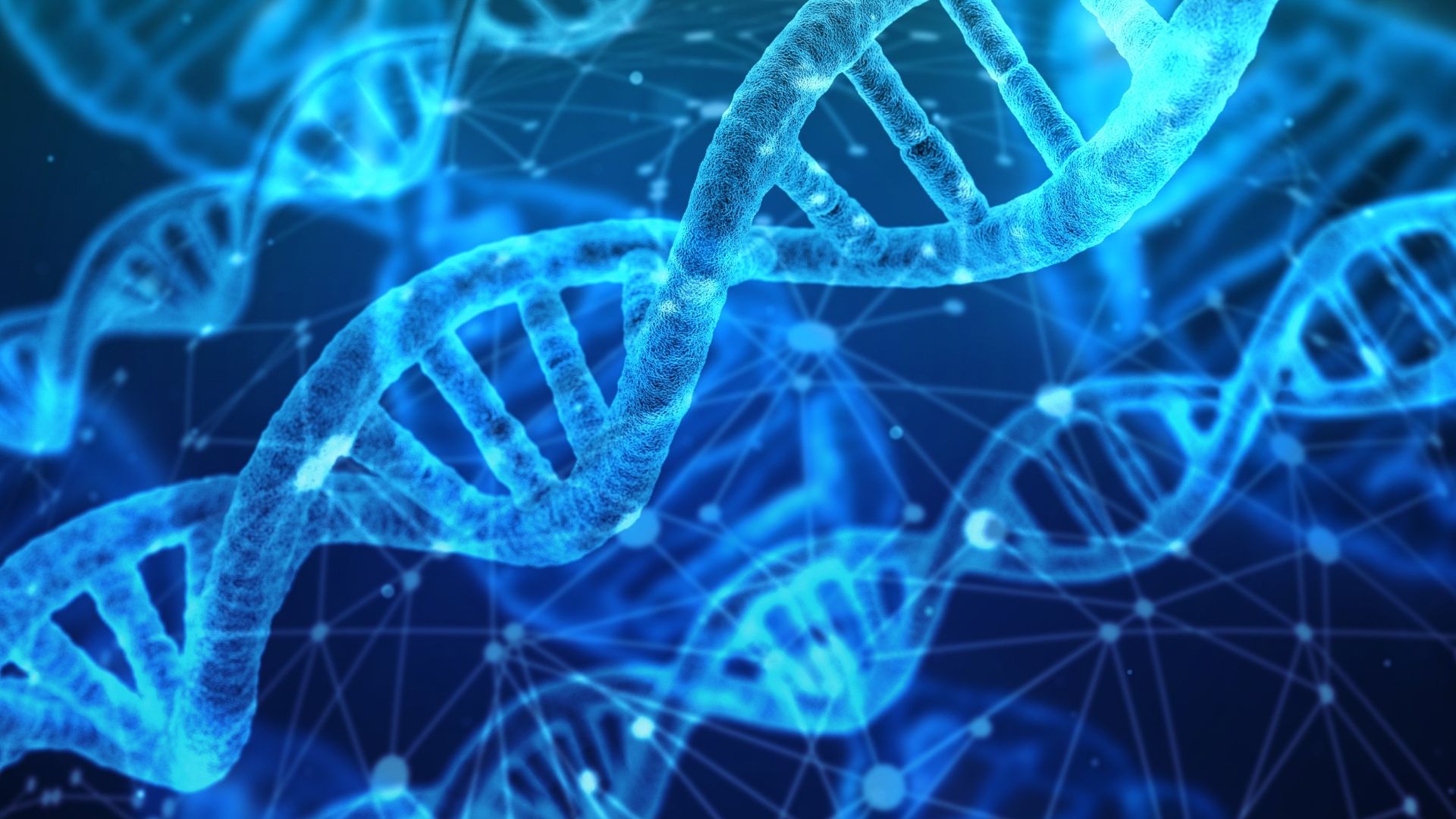 File:DNA strands.jpg