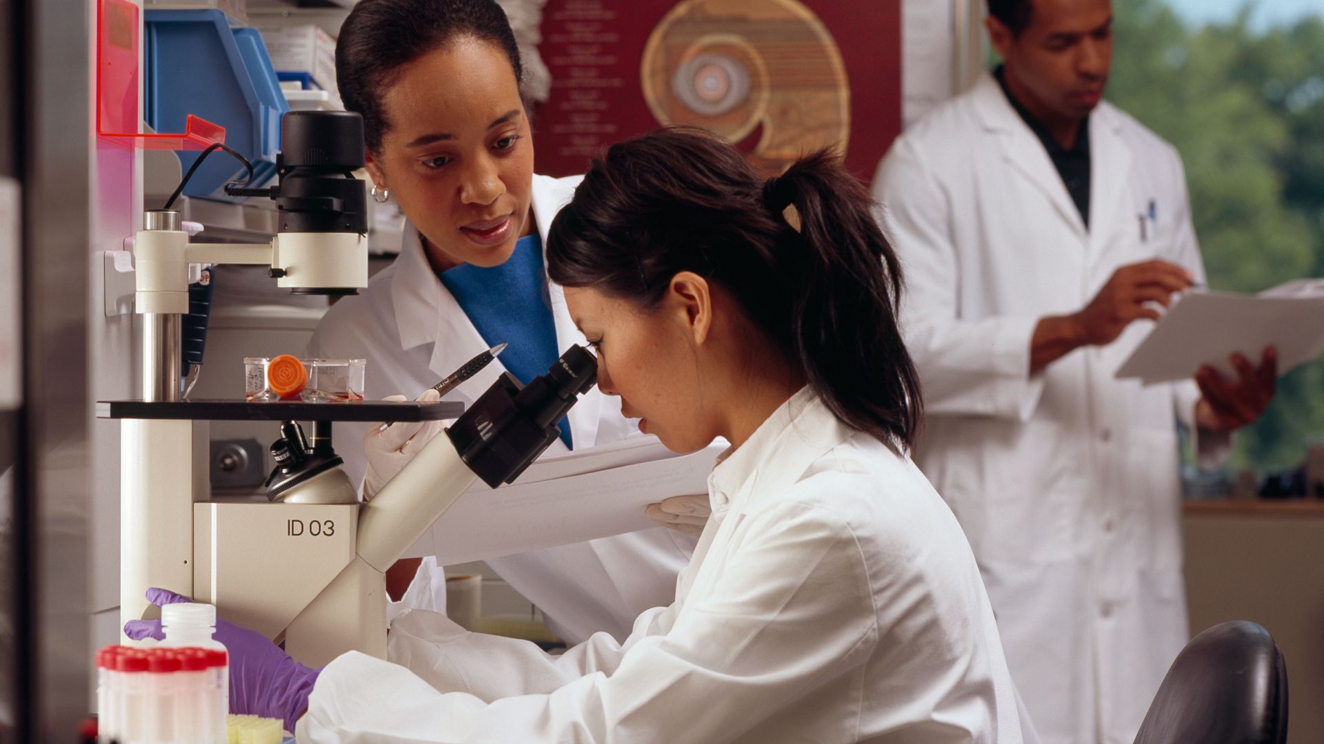 File:Researchers in laboratory.jpg