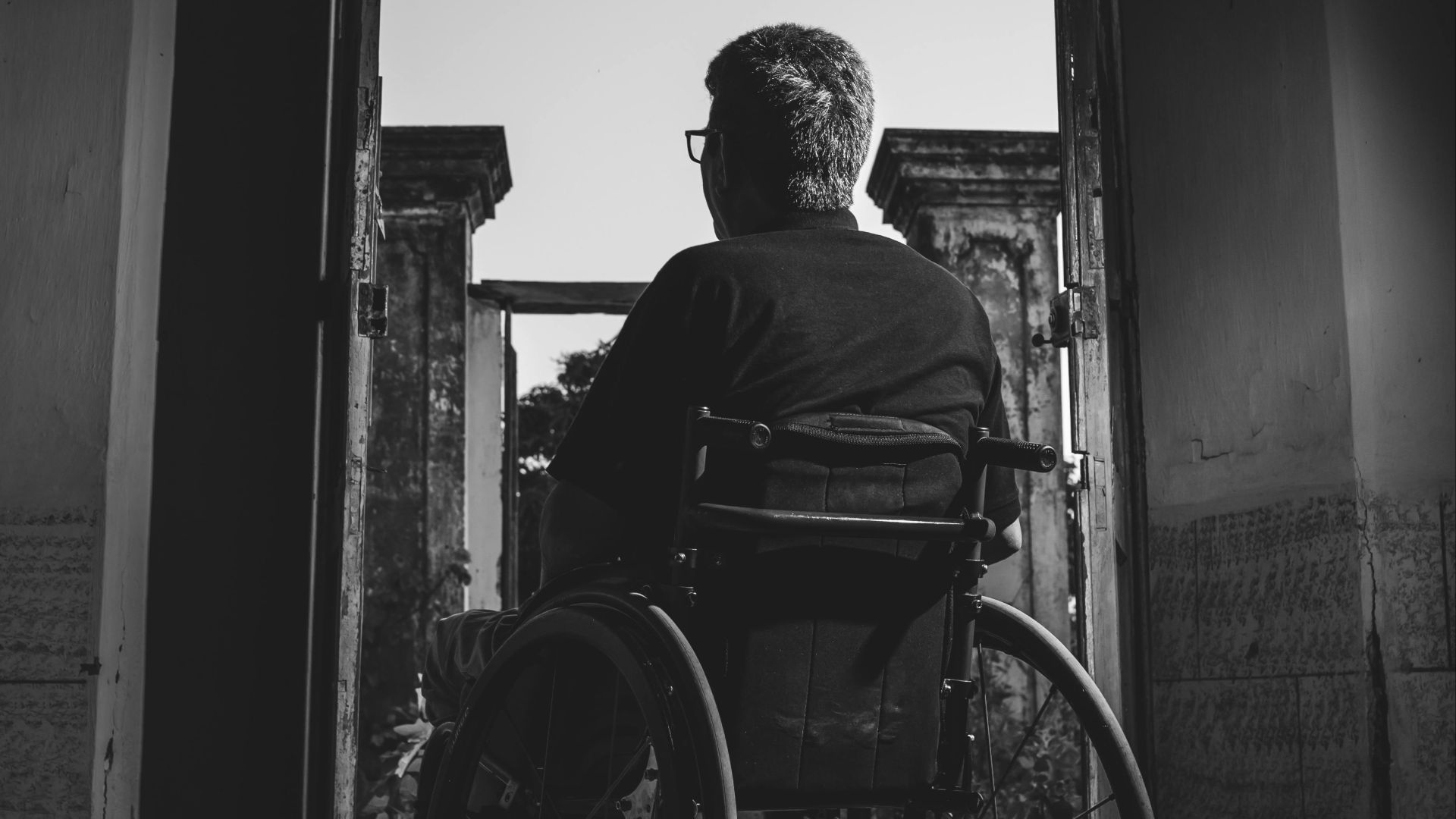 alexandre saraiva carniato