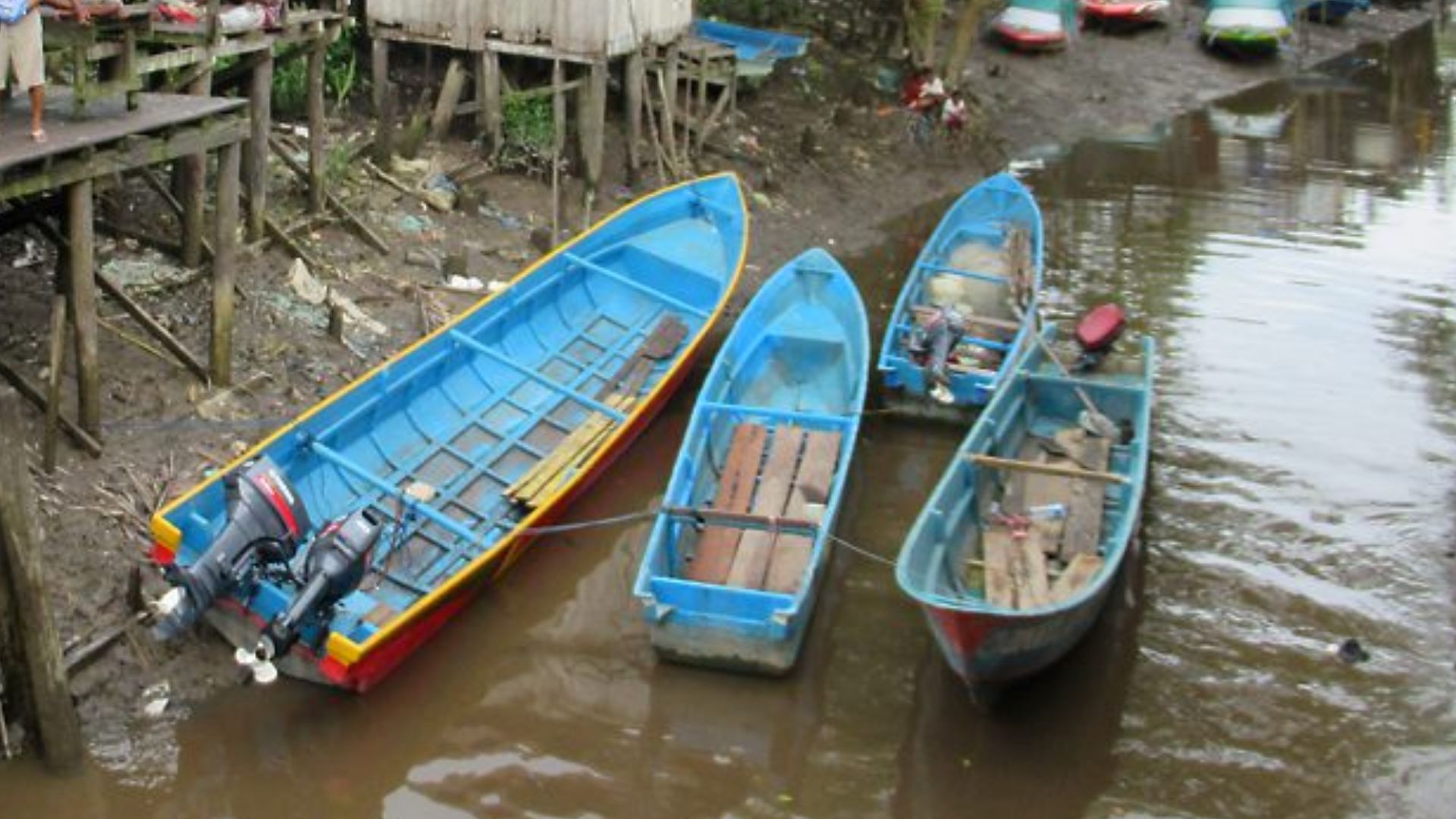 File:Canoes at Agats (48319987547).jpg