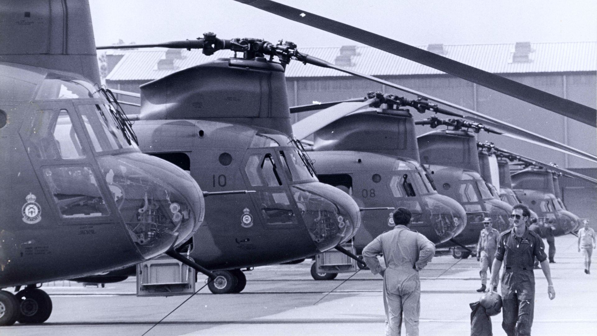 File:Chinook flight line.jpg